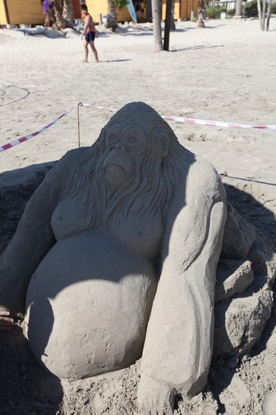 RestHouseTyr Sand Competition 